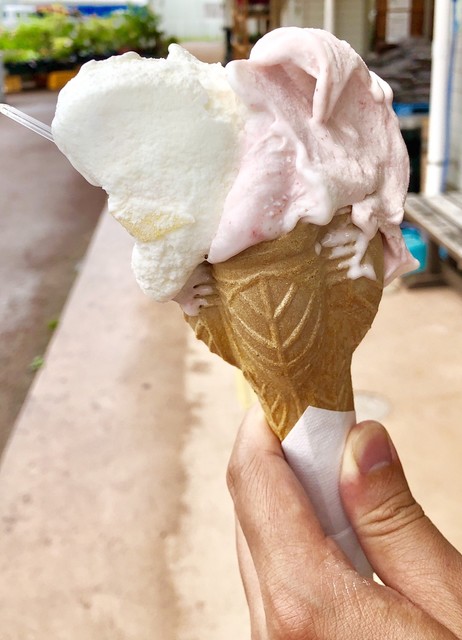 ジェラート工房 - 磐城常葉（ジェラート・アイスクリーム）の写真