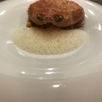セルサルサーレ - 