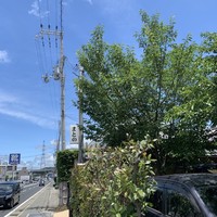 まとの - 