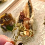 テッラ イタリアーナ - 