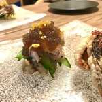 テッラ イタリアーナ - 