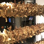 IKARIYA BEIKA KYOTO - 焼き上げている米粉バウム。かなり芸術的な見た目が興味をそそります。