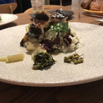 テッラ イタリアーナ - 