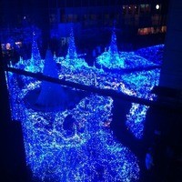 美寿思 - 