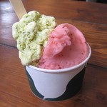 109303377 - 完熟いちご／ピスタチオ（プレミアムフレーバー）