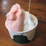 109303387 - 湘南片浦レモン／信州ルバーブ