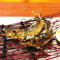 浅草じゅうろく - 