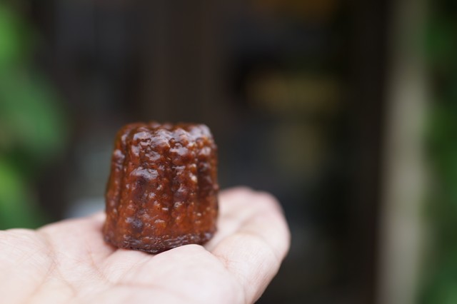 ARCACHON Hon Ten photo 4