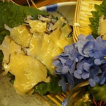 島津寿し - ◆追加単品　（鮑あわび造り、オコゼ造り、車エビ造り、鮑サザエ煮、焼きナス） 2019年06月