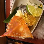 島津寿し - ●●予算相談おまかせ10,800円　①付出②造り③鍋風④小鉢⑤煮物⑥焼物⑦酢物⑧天ぷら⑨にぎり⑩椀物⑪デザート） 2019年06月