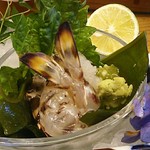 島津寿し - ◆追加単品　（鮑あわび造り、オコゼ造り、車エビ造り、鮑サザエ煮、焼きナス） 2019年06月