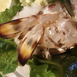 島津寿し - ◆追加単品　（鮑あわび造り、オコゼ造り、車エビ造り、鮑サザエ煮、焼きナス） 2019年06月