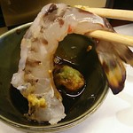 島津寿し - ◆追加単品　（鮑あわび造り、オコゼ造り、車エビ造り、鮑サザエ煮、焼きナス） 2019年06月