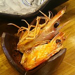 島津寿し - ◆追加単品　（鮑あわび造り、オコゼ造り、車エビ造り、鮑サザエ煮、焼きナス） 2019年06月