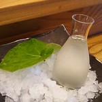 島津寿し - ■ドリンク　（生ビール、瓶ビール、日本酒 純米吟醸 梅錦・白鹿・鳴門鯛） 2019年06月