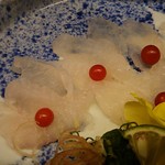 島津寿し - ◆追加単品　（鮑あわび造り、オコゼ造り、車エビ造り、鮑サザエ煮、焼きナス） 2019年06月