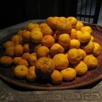 柚子屋旅館・一心居 - 