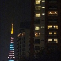 37 Steakhouse & Bar - 店内からの眺望