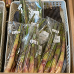 道の駅 米沢 - 2019.6 月山筍