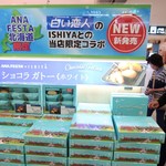 ANAフェスタ 新千歳空港店