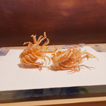 にい留 - 海老頭