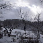 里山Cafe 多三郎山荘 - 窓からの景色