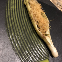 オルト - 