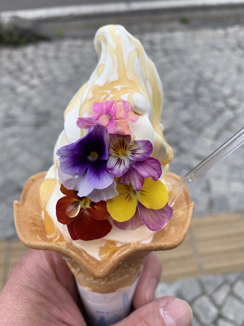 ハニーフラット様 アイスクォーツ 2205806_L.jpg