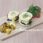 スウェル ボウルズ - 