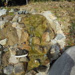 そばんち - お店の裏には湧水が・・・