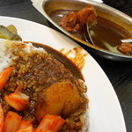 デリー - カシミールカレー（ルゥをかけたところ）