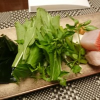 日本料理 初海 - 