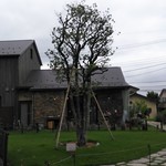 丘の上のパン屋 - 丘の上のパン屋さんの建物