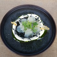 スミレオオサカ - 