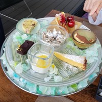 スミレオオサカ - 