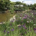 蓬生庵 - 宝殿駅南西徒歩１０分、野添北公園内にある茶室「蓬生庵」です（２０１９．６．１０）