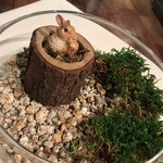 明神館 - うさぎもいるよ