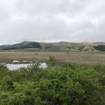 明神館 - ようやく雨が止んで。八島ヶ原湿原