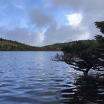 明神館 - 白駒池