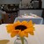 クラリタ ダ マリッティマ - 内観写真:テーブルのひまわりかわいい