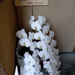 木山 - 2周年おめでとうございます。