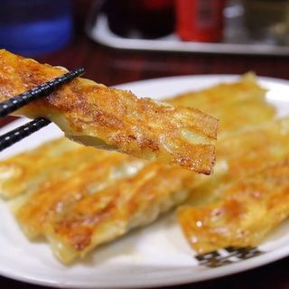 餃子専門店 藤井屋 _2