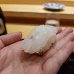 小松 弥助 - 烏賊