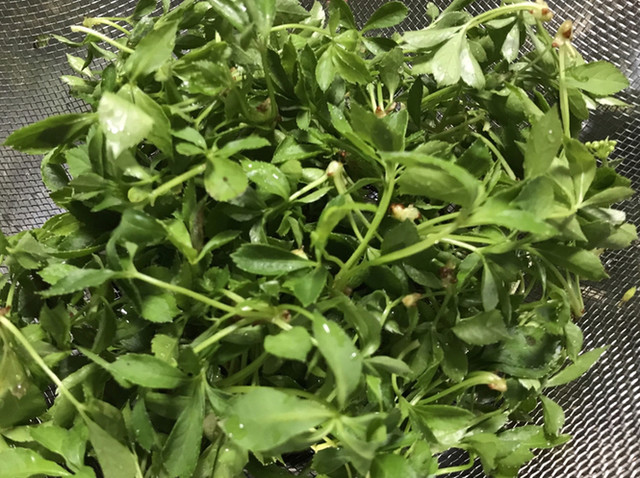 マックスバリュ 天童店（MaxValu） - 天童（コンビニ・スーパー）の写真