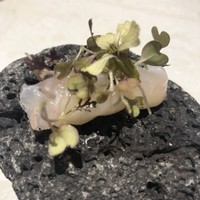 ル スプートニク - 