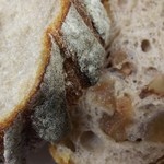 メゾン ムラタ - 