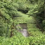 滝口わさび園 - 