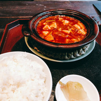 雪梅花 菜根譚 - 