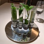 アピシウス - ハーブ