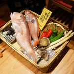 中俣酒造本店 銀座 茂助 - 本日の食材